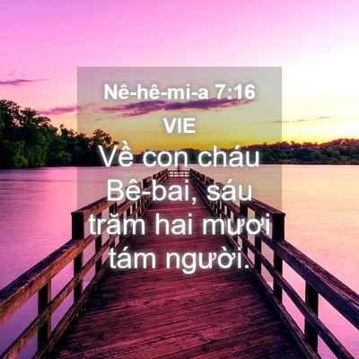 Picture 04 - Nê-hê-mi-a 7:16 VIE - Về con cháu Bê-bai, sáu trăm hai mươi - Bible Verse Picture