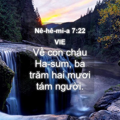 Picture 04 - Nê-hê-mi-a 7:22 VIE - Về con cháu Ha-sum, ba trăm hai mươi tám - Bible Verse Picture