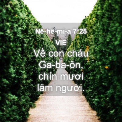 Picture 04 - Nê-hê-mi-a 7:25 VIE - Về con cháu Ga-ba-ôn, chín mươi lăm - Bible Verse Picture