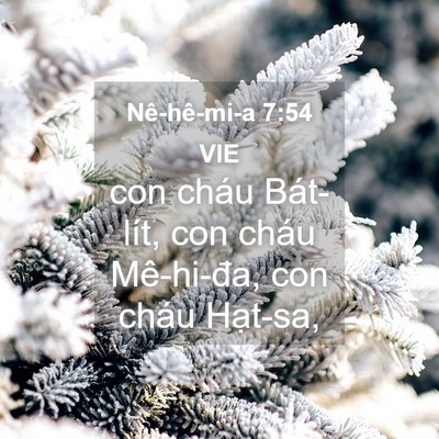 Picture 04 - Nê-hê-mi-a 7:54 VIE - con cháu Bát-lít, con cháu Mê-hi-đa, con - Bible Verse Picture