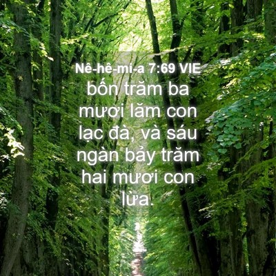 Picture 04 - Nê-hê-mi-a 7:69 VIE - bốn trăm ba mươi lăm con lạc đà, và - Bible Verse Picture