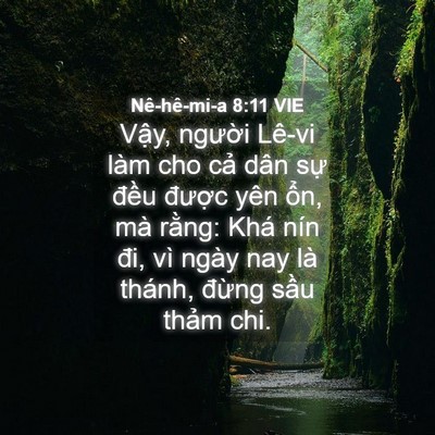 Picture 04 - Nê-hê-mi-a 8:11 VIE - Vậy, người Lê-vi làm cho cả dân sự - Bible Verse Picture