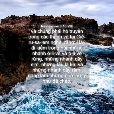 Picture 04 - Nê-hê-mi-a 8:15 VIE - và chúng phải hô truyền trong các thành - Bible Verse Picture