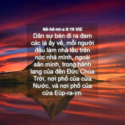 Picture 04 - Nê-hê-mi-a 8:16 VIE - Dân sự bèn đi ra đem các lá ấy về, - Bible Verse Picture