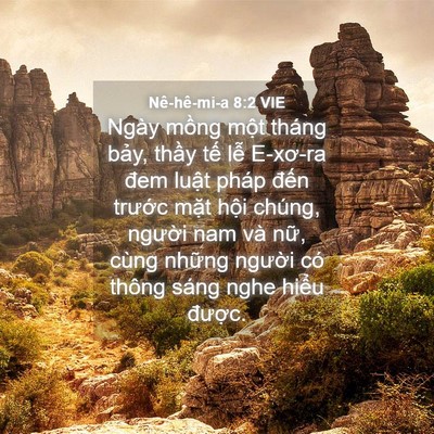 Picture 04 - Nê-hê-mi-a 8:2 VIE - Ngày mồng một tháng bảy, thầy tế lễ - Bible Verse Picture
