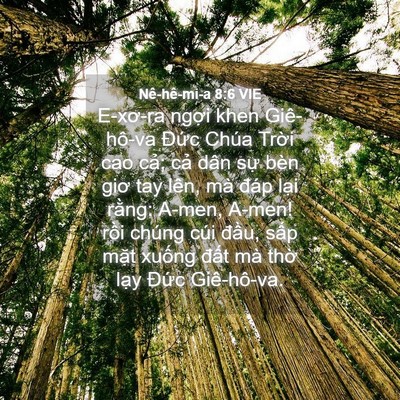 Picture 04 - Nê-hê-mi-a 8:6 VIE - E-xơ-ra ngợi khen Giê-hô-va Đức Chúa - Bible Verse Picture
