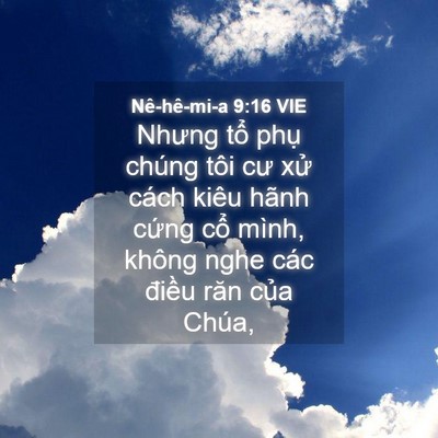 Picture 04 - Nê-hê-mi-a 9:16 VIE - Nhưng tổ phụ chúng tôi cư xử cách - Bible Verse Picture