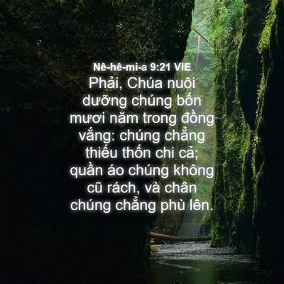 Picture 04 - Nê-hê-mi-a 9:21 VIE - Phải, Chúa nuôi dưỡng chúng bốn mươi - Bible Verse Picture