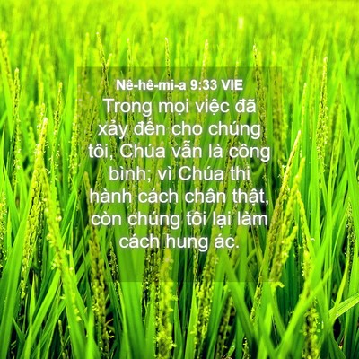 Picture 04 - Nê-hê-mi-a 9:33 VIE - Trong mọi việc đã xảy đến cho chúng - Bible Verse Picture