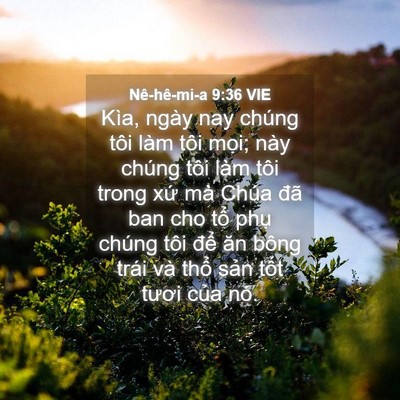 Picture 04 - Nê-hê-mi-a 9:36 VIE - Kìa, ngày nay chúng tôi làm tôi mọi; này - Bible Verse Picture