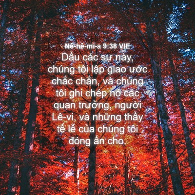 Picture 04 - Nê-hê-mi-a 9:38 VIE - Dầu các sự này, chúng tôi lập giao - Bible Verse Picture
