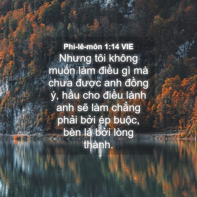 Picture 04 - Phi-lê-môn 1:14 VIE - Nhưng tôi không muốn làm điều gì mà - Bible Verse Picture