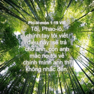 Picture 04 - Phi-lê-môn 1:19 VIE - Tôi, Phao-lô, chính tay tôi viết điều - Bible Verse Picture