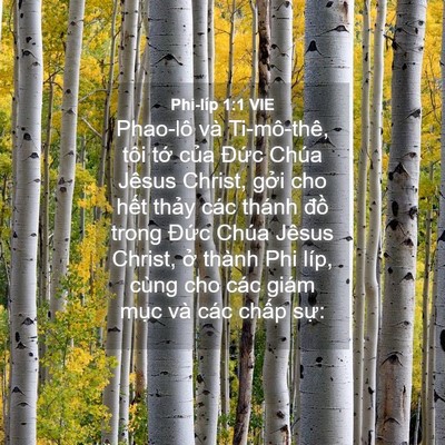 Picture 04 - Phi-líp 1:1 VIE - Phao-lô và Ti-mô-thê, tôi tớ của Đức - Bible Verse Picture