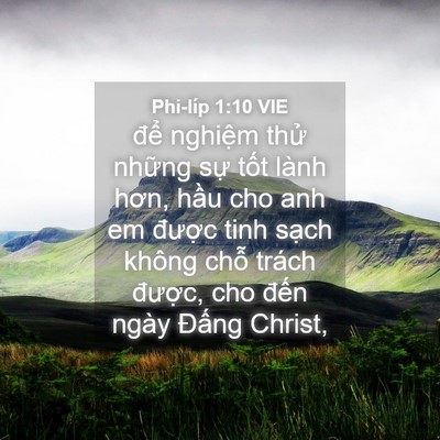 Picture 04 - Phi-líp 1:10 VIE - để nghiệm thử những sự tốt lành - Bible Verse Picture
