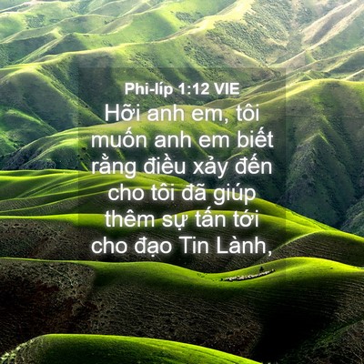 Picture 04 - Phi-líp 1:12 VIE - Hỡi anh em, tôi muốn anh em biết rằng - Bible Verse Picture