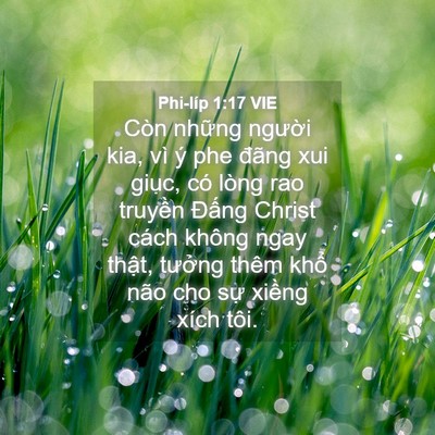 Picture 04 - Phi-líp 1:17 VIE - Còn những người kia, vì ý phe đãng xui - Bible Verse Picture