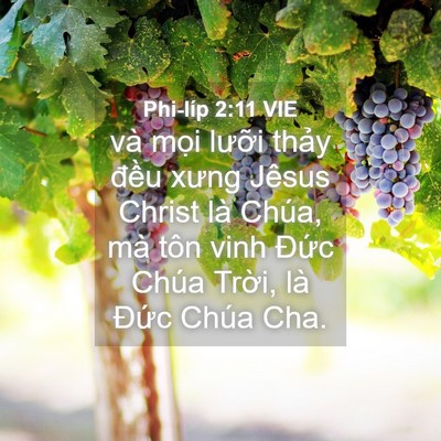 Picture 04 - Phi-líp 2:11 VIE - và mọi lưỡi thảy đều xưng Jêsus - Bible Verse Picture