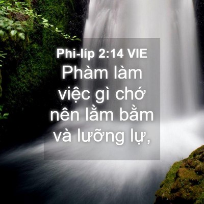 Picture 04 - Phi-líp 2:14 VIE - Phàm làm việc gì chớ nên lằm bằm và - Bible Verse Picture