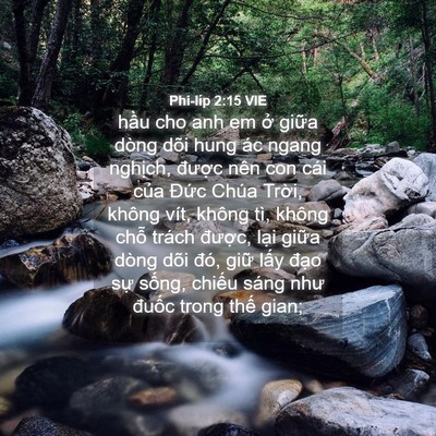Picture 04 - Phi-líp 2:15 VIE - hầu cho anh em ở giữa dòng dõi hung ác - Bible Verse Picture