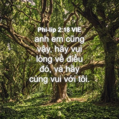 Picture 04 - Phi-líp 2:18 VIE - anh em cũng vậy, hãy vui lòng về điều - Bible Verse Picture