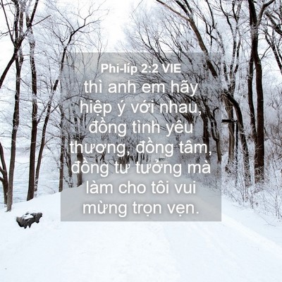 Picture 04 - Phi-líp 2:2 VIE - thì anh em hãy hiệp ý với nhau, đồng - Bible Verse Picture