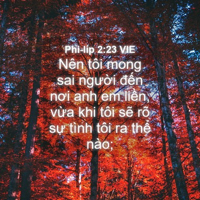 Picture 04 - Phi-líp 2:23 VIE - Nên tôi mong sai người đến nơi anh em - Bible Verse Picture