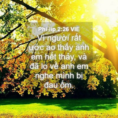 Picture 04 - Phi-líp 2:26 VIE - Vì người rất ước ao thấy anh em hết - Bible Verse Picture