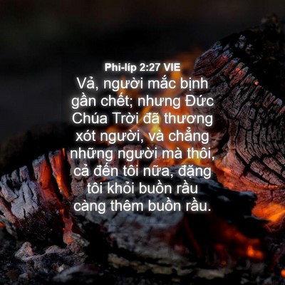 Picture 04 - Phi-líp 2:27 VIE - Vả, người mắc bịnh gần chết; nhưng - Bible Verse Picture