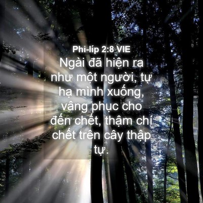 Picture 04 - Phi-líp 2:8 VIE - Ngài đã hiện ra như một người, tự - Bible Verse Picture