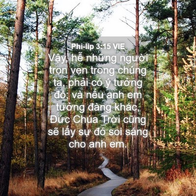 Picture 04 - Phi-líp 3:15 VIE - Vậy, hễ những người trọn vẹn trong - Bible Verse Picture
