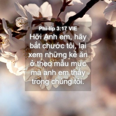 Picture 04 - Phi-líp 3:17 VIE - Hỡi Anh em, hãy bắt chước tôi, lại xem - Bible Verse Picture