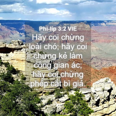 Picture 04 - Phi-líp 3:2 VIE - Hãy coi chừng loài chó; hãy coi chừng - Bible Verse Picture