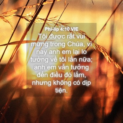 Picture 04 - Phi-líp 4:10 VIE - Tôi được rất vui mừng trong Chúa, vì - Bible Verse Picture