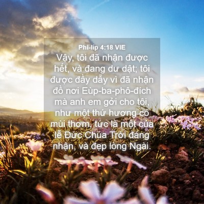 Picture 04 - Phi-líp 4:18 VIE - Vậy, tôi đã nhận được hết, và đang - Bible Verse Picture