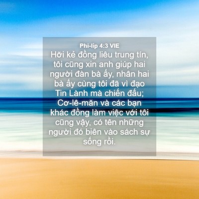 Picture 04 - Phi-líp 4:3 VIE - Hỡi kẻ đồng liêu trung tín, tôi cũng - Bible Verse Picture