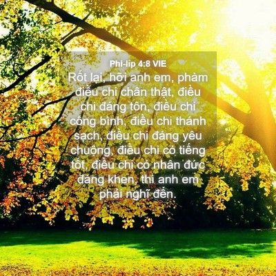 Picture 04 - Phi-líp 4:8 VIE - Rốt lại, hỡi anh em, phàm điều chi - Bible Verse Picture