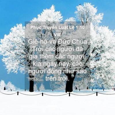 Picture 04 - Phục Truyền Luật Lệ 1:10 VIE - Giê-hô-va Đức Chúa Trời các ngươi đã - Bible Verse Picture