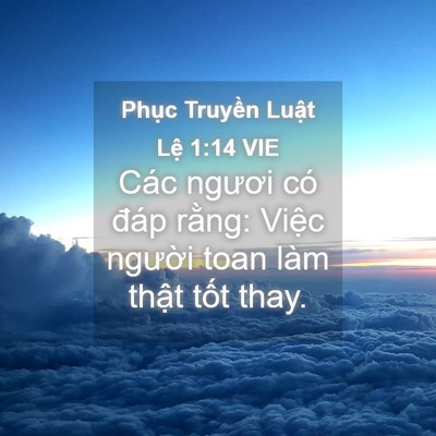 Picture 04 - Phục Truyền Luật Lệ 1:14 VIE - Các ngươi có đáp rằng: Việc người - Bible Verse Picture