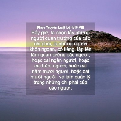 Picture 04 - Phục Truyền Luật Lệ 1:15 VIE - Bấy giờ, ta chọn lấy những người - Bible Verse Picture