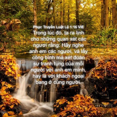 Picture 04 - Phục Truyền Luật Lệ 1:16 VIE - Trong lúc đó, ta ra lịnh cho những quan - Bible Verse Picture