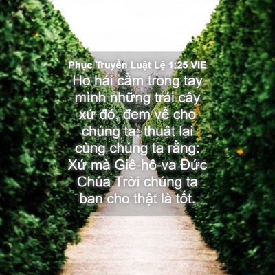 Picture 04 - Phục Truyền Luật Lệ 1:25 VIE - Họ hái cầm trong tay mình những trái - Bible Verse Picture