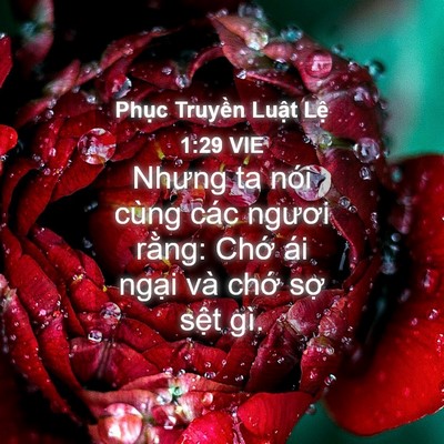 Picture 04 - Phục Truyền Luật Lệ 1:29 VIE - Nhưng ta nói cùng các ngươi rằng: Chớ - Bible Verse Picture