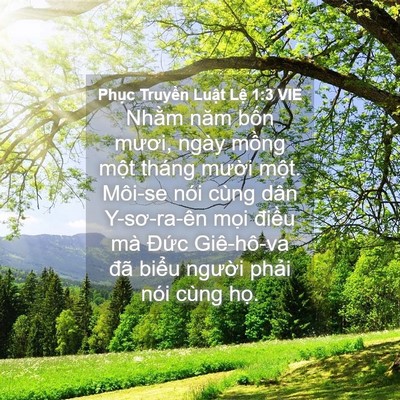 Picture 04 - Phục Truyền Luật Lệ 1:3 VIE - Nhằm năm bốn mươi, ngày mồng một - Bible Verse Picture