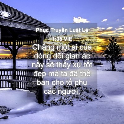 Picture 04 - Phục Truyền Luật Lệ 1:35 VIE - Chẳng một ai của dòng dõi gian ác nầy - Bible Verse Picture