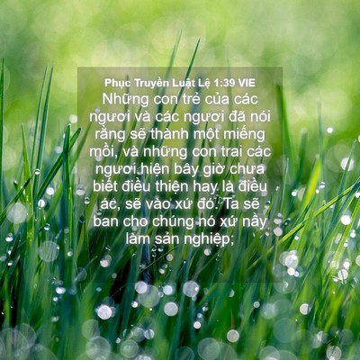 Picture 04 - Phục Truyền Luật Lệ 1:39 VIE - Những con trẻ của các ngươi và các - Bible Verse Picture