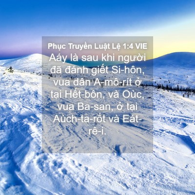 Picture 04 - Phục Truyền Luật Lệ 1:4 VIE - Aáy là sau khi người đã đánh giết - Bible Verse Picture