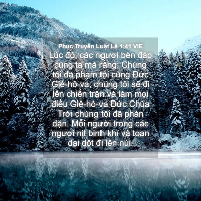 Picture 04 - Phục Truyền Luật Lệ 1:41 VIE - Lúc đó, các ngươi bèn đáp cùng ta mà - Bible Verse Picture
