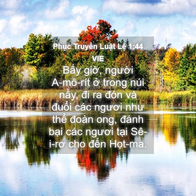 Picture 04 - Phục Truyền Luật Lệ 1:44 VIE - Bấy giờ, người A-mô-rít ở trong núi - Bible Verse Picture