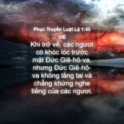 Picture 04 - Phục Truyền Luật Lệ 1:45 VIE - Khi trở về, các ngươi có khóc lóc - Bible Verse Picture
